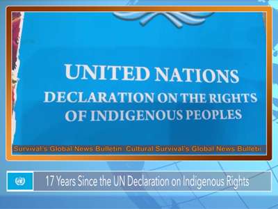 Indigenous Peoples Make Headlines Worldwide: September 2024 in Review